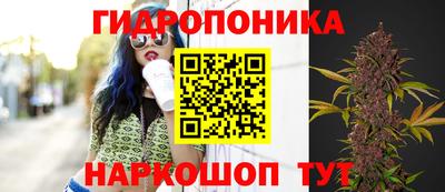 кокс Тверь