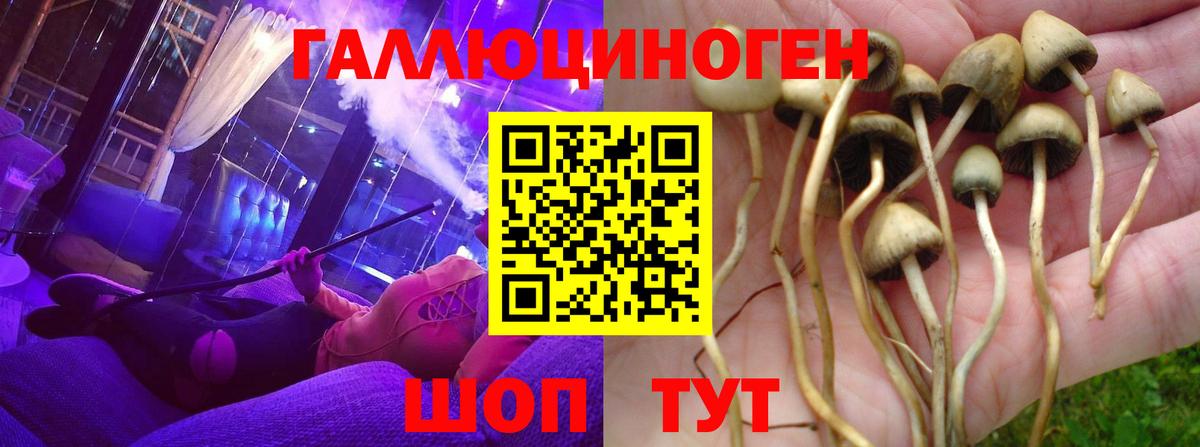 Псилоцибиновые грибы Psilocybine cubensis  Вход с VPN  Галлюциногенные грибы Magic Shrooms  дарнет шоп  Россошь 